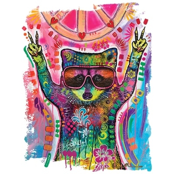 T-Shirt kurzarm - pyschedelic racoon
